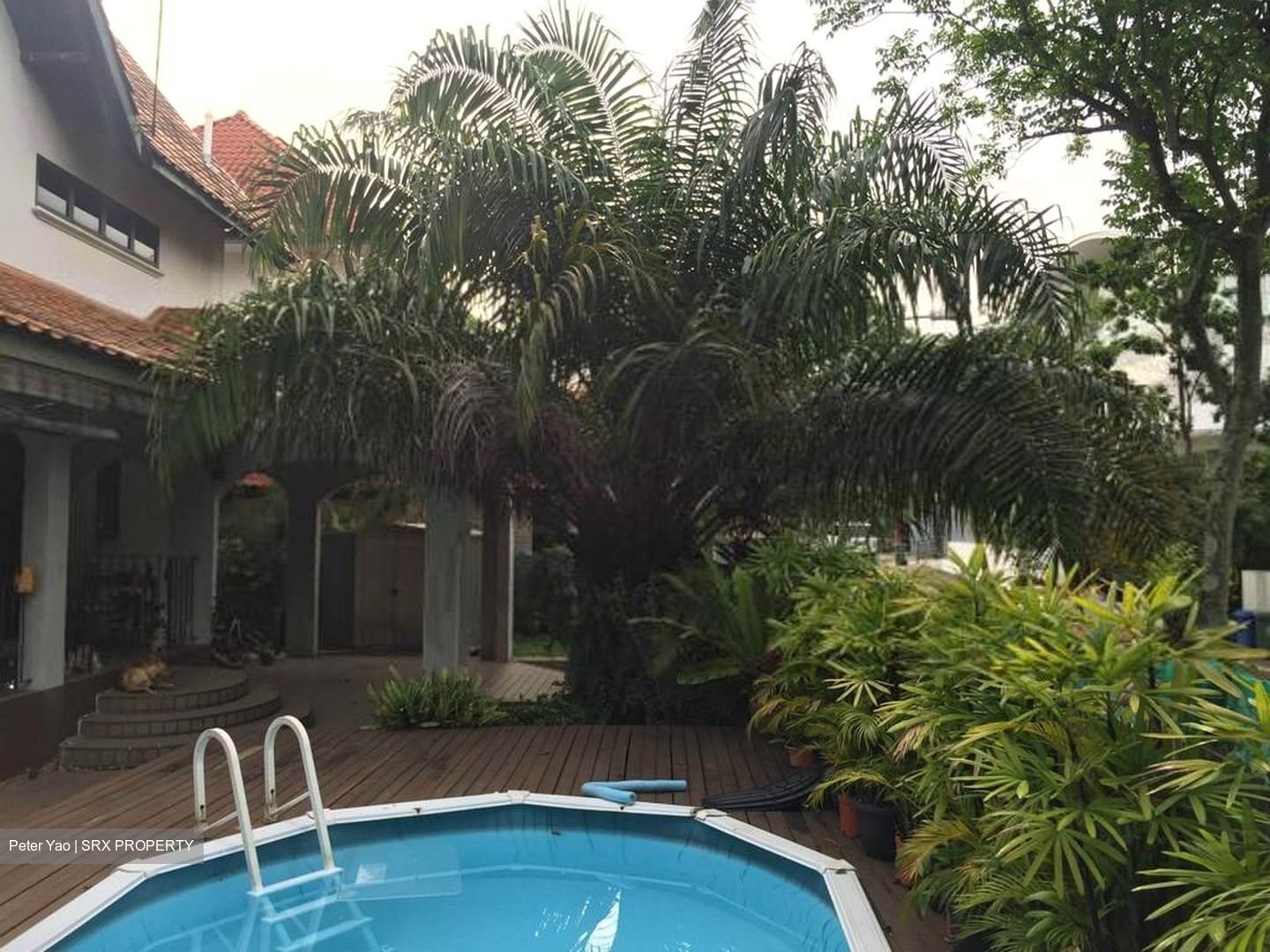 Mcmahon Park (D10), Detached #278592251